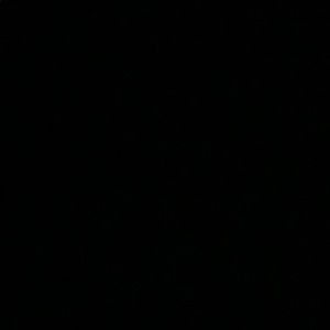 Meet your Posher, Isaiah